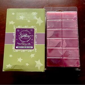 Scentsy Black Raspberry Vanilla Wax Brick 16 oz Brick